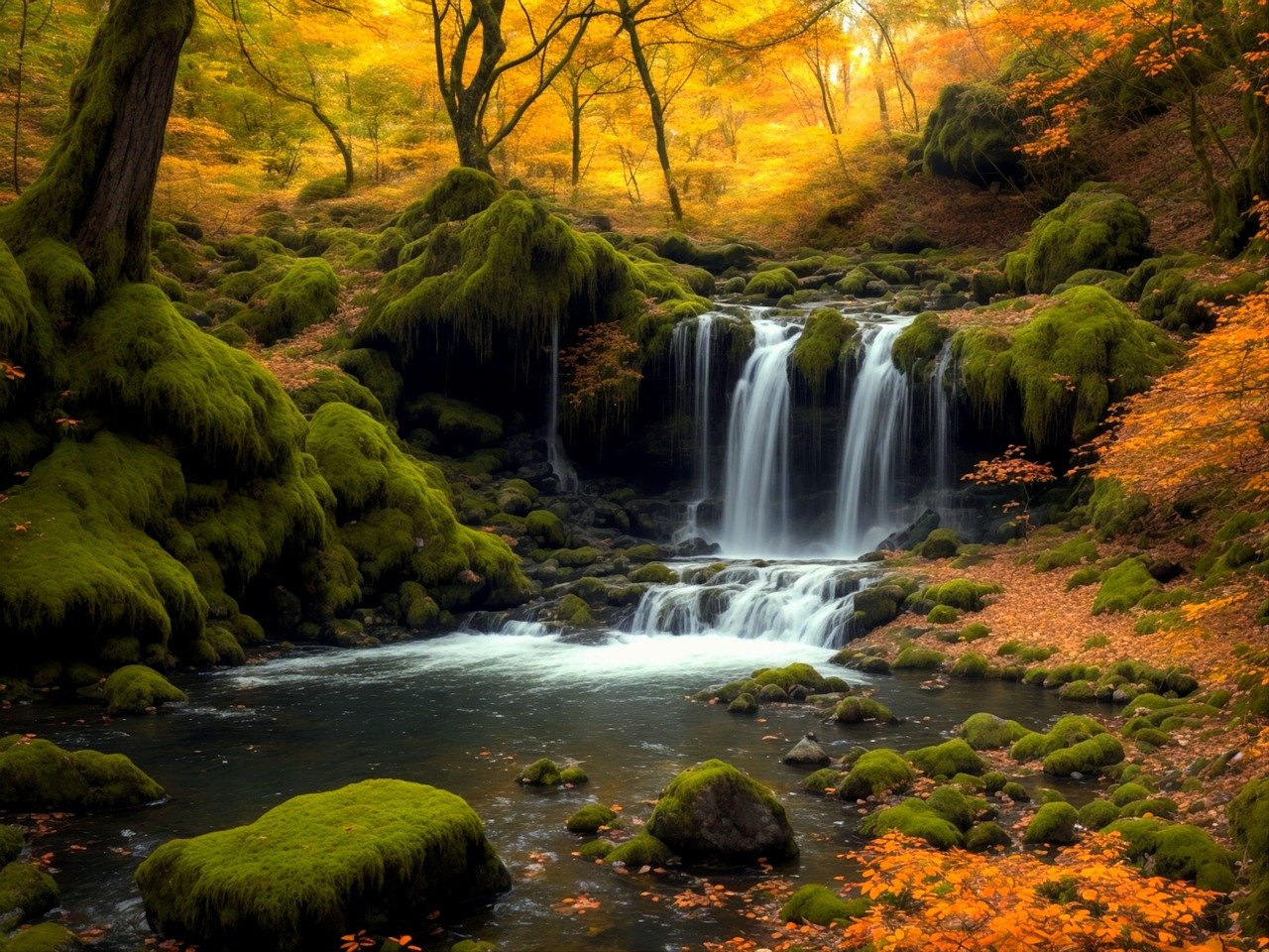 waterfall, forest, jungle-8805422.jpg